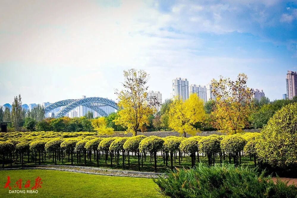 前三季度我市空气质量继续领跑全省